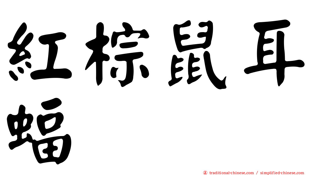 紅棕鼠耳蝠