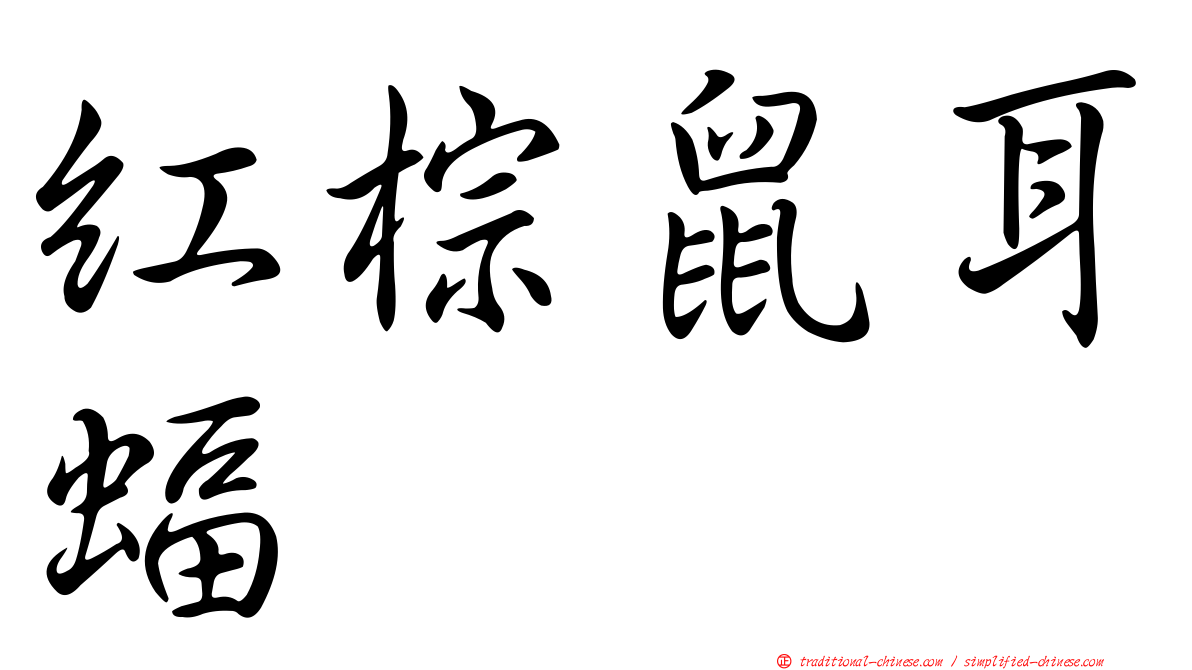 紅棕鼠耳蝠