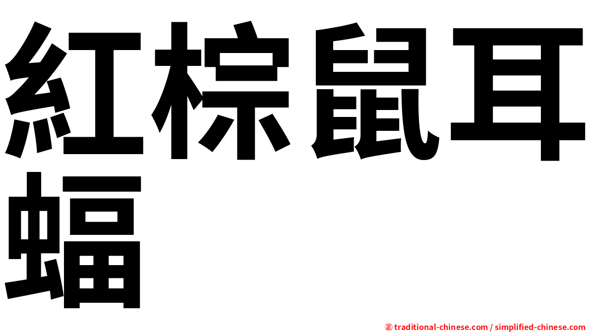 紅棕鼠耳蝠