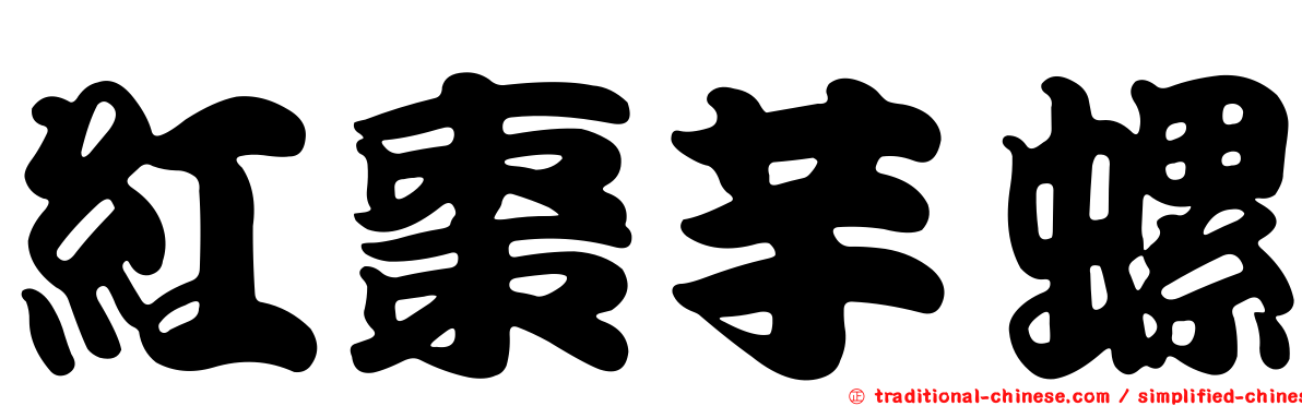 紅棗芋螺