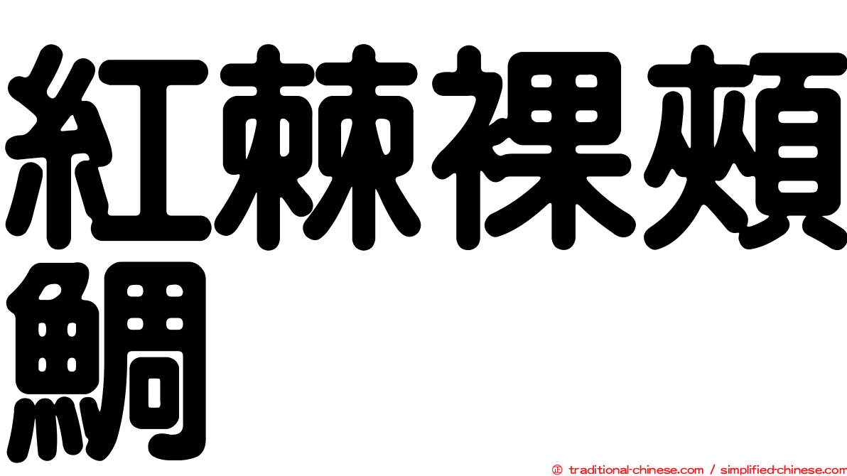 紅棘裸頰鯛