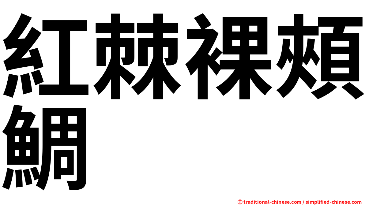 紅棘裸頰鯛