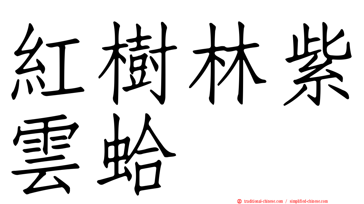 紅樹林紫雲蛤