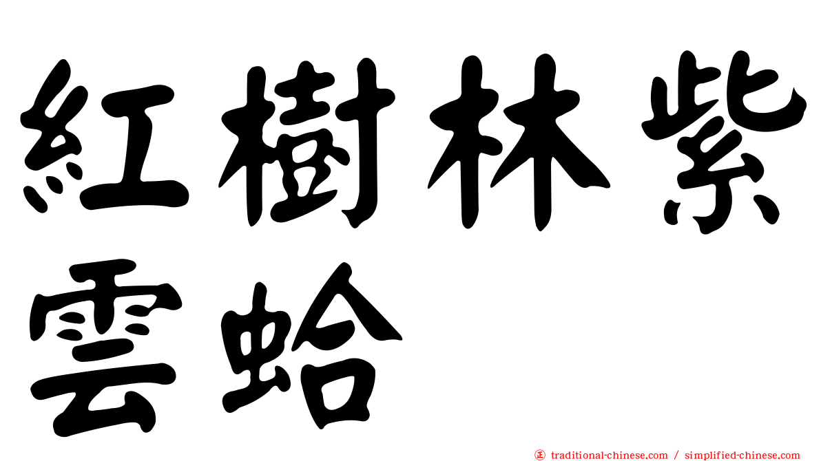 紅樹林紫雲蛤
