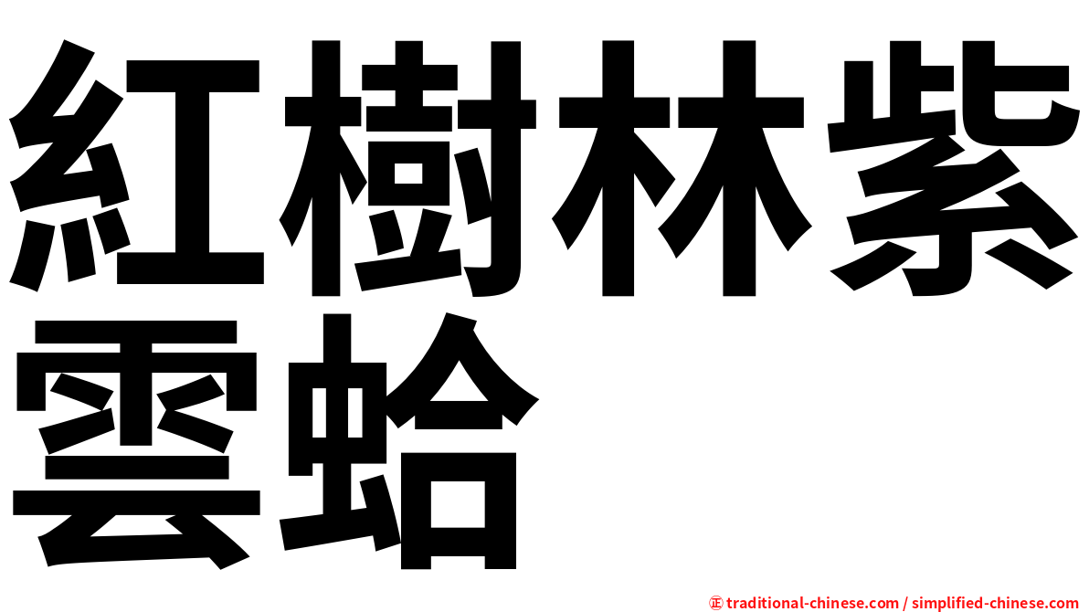 紅樹林紫雲蛤