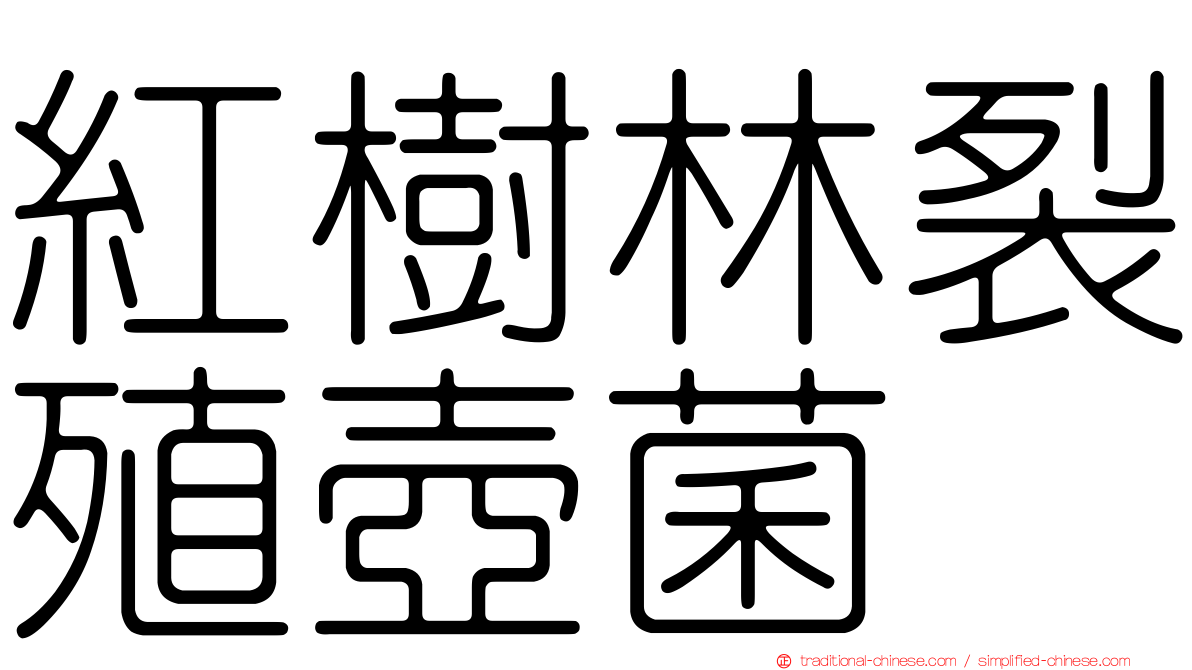 紅樹林裂殖壺菌