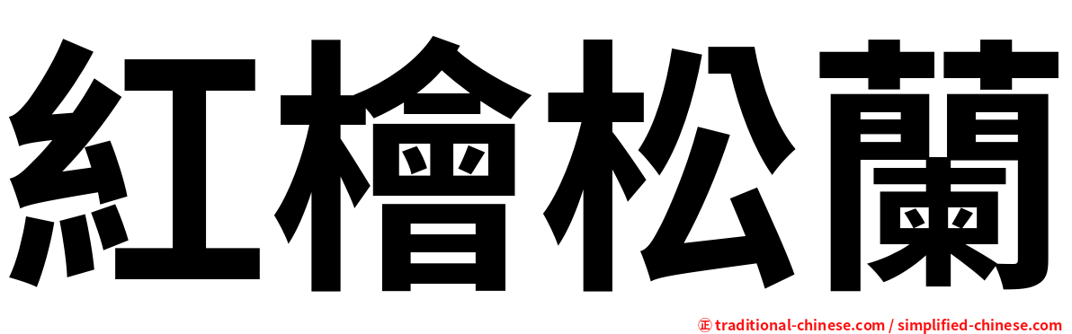 紅檜松蘭