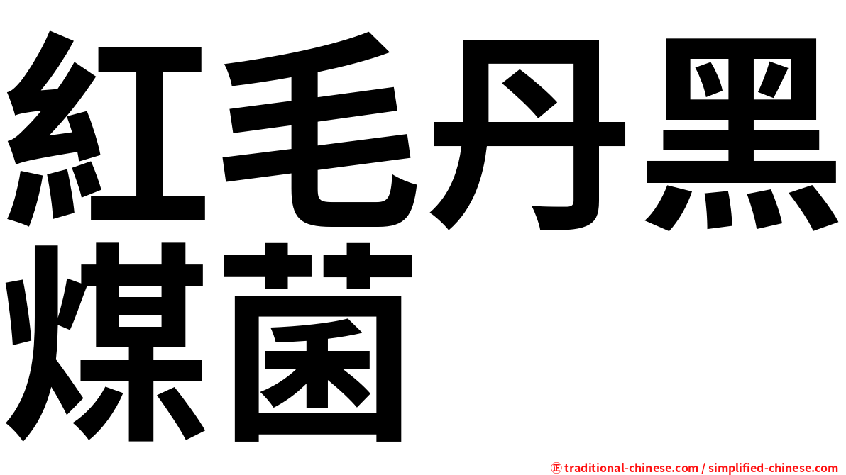 紅毛丹黑煤菌