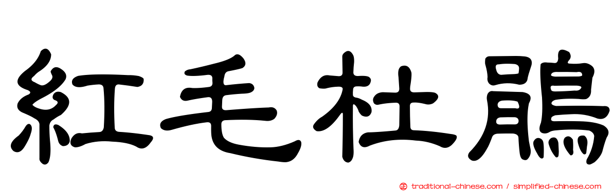 紅毛杜鵑