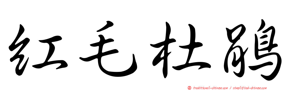 紅毛杜鵑