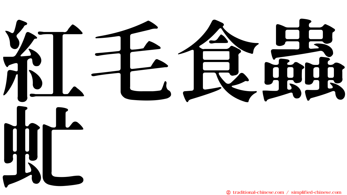 紅毛食蟲虻
