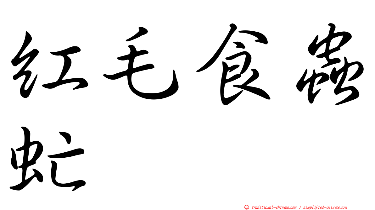 紅毛食蟲虻
