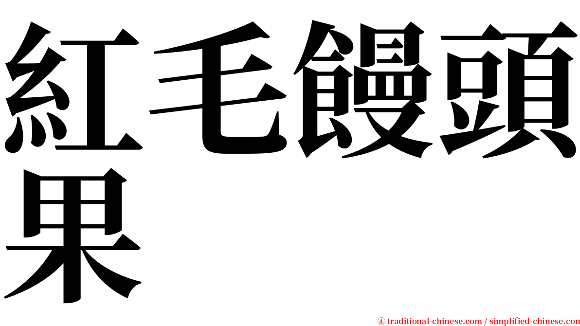 紅毛饅頭果 serif font