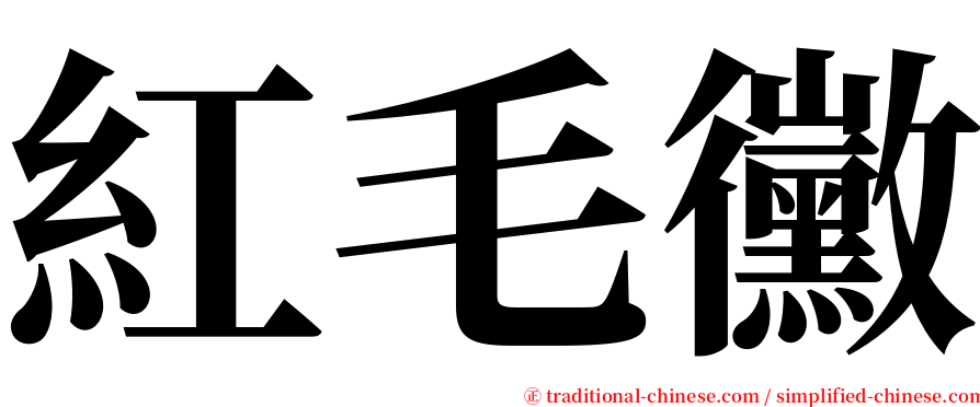 紅毛黴 serif font