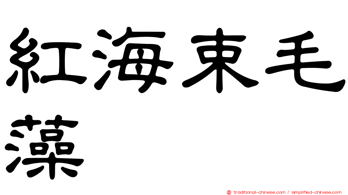紅海束毛藻