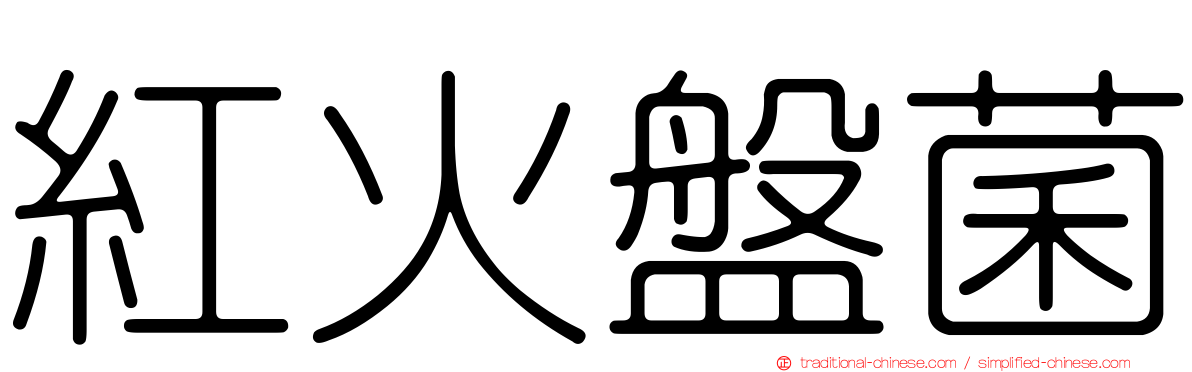 紅火盤菌
