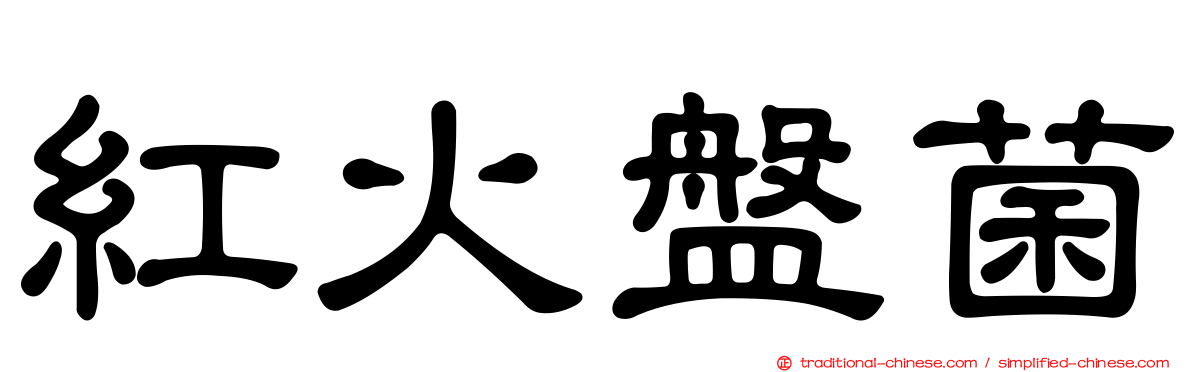 紅火盤菌