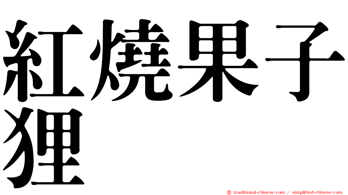 紅燒果子狸