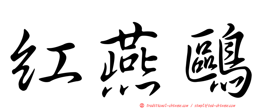 紅燕鷗