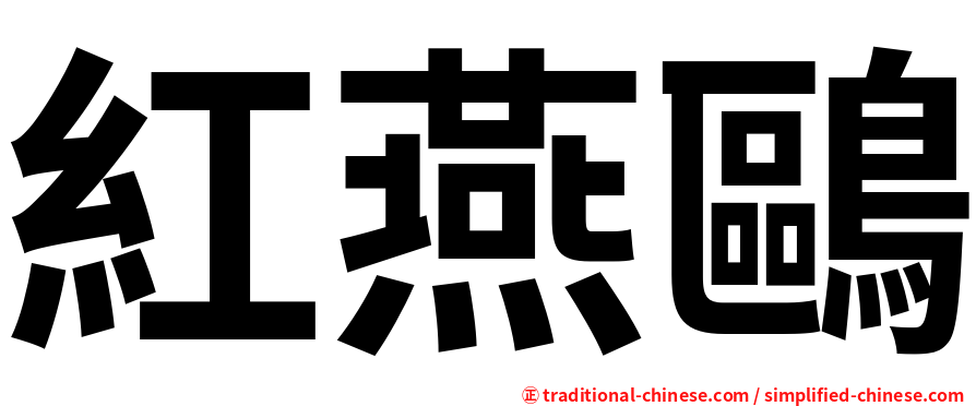 紅燕鷗
