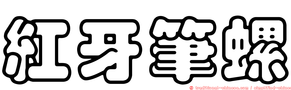紅牙筆螺