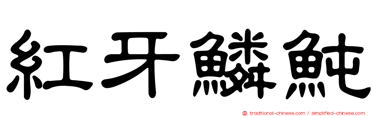 紅牙鱗魨