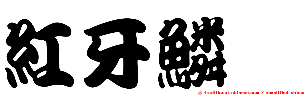 紅牙鱗魨