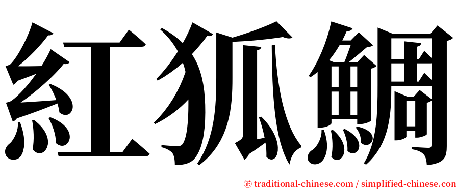 紅狐鯛 serif font