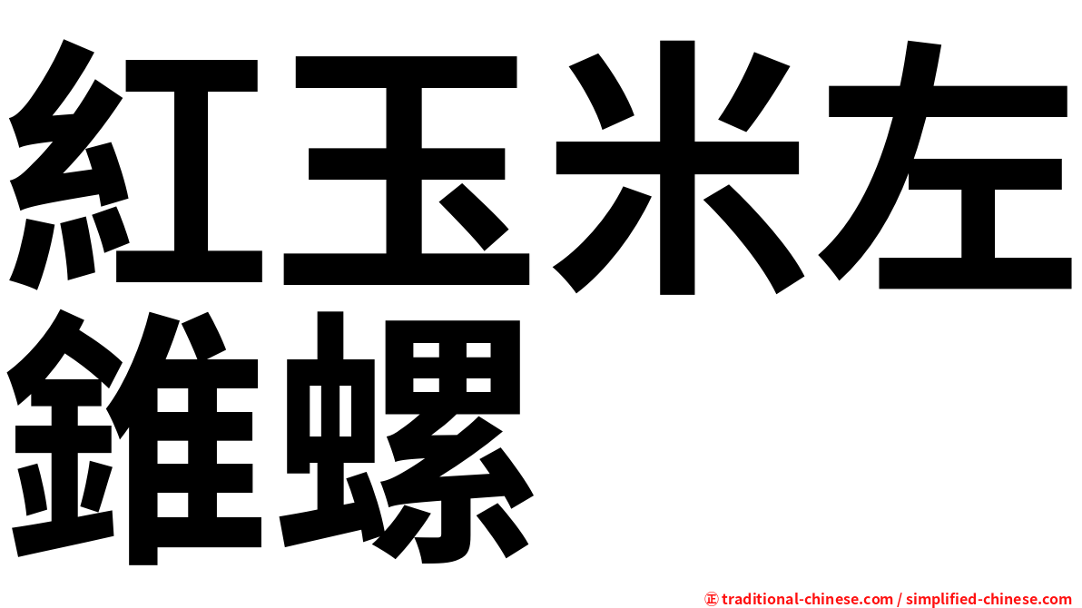 紅玉米左錐螺