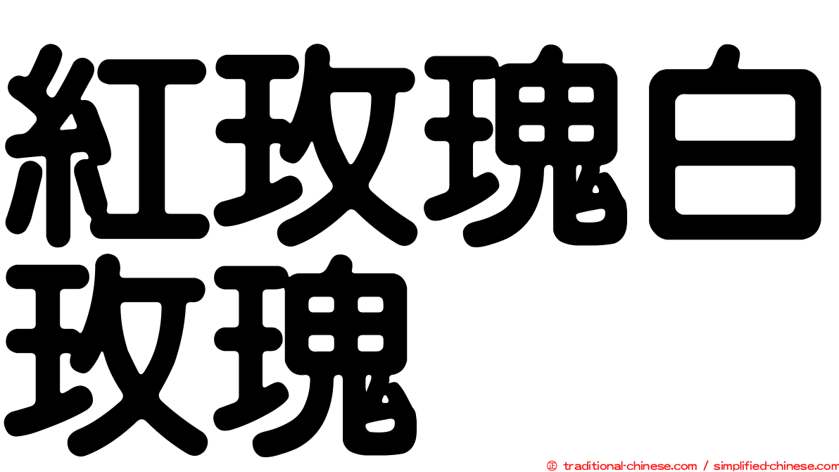 紅玫瑰白玫瑰