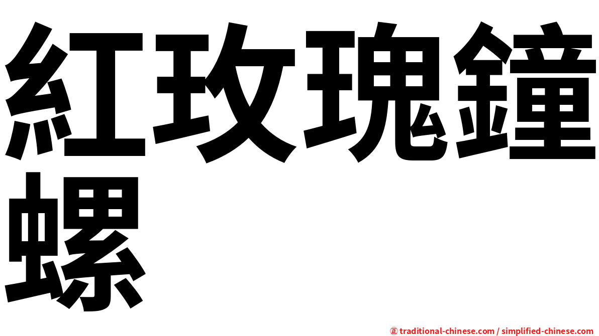 紅玫瑰鐘螺