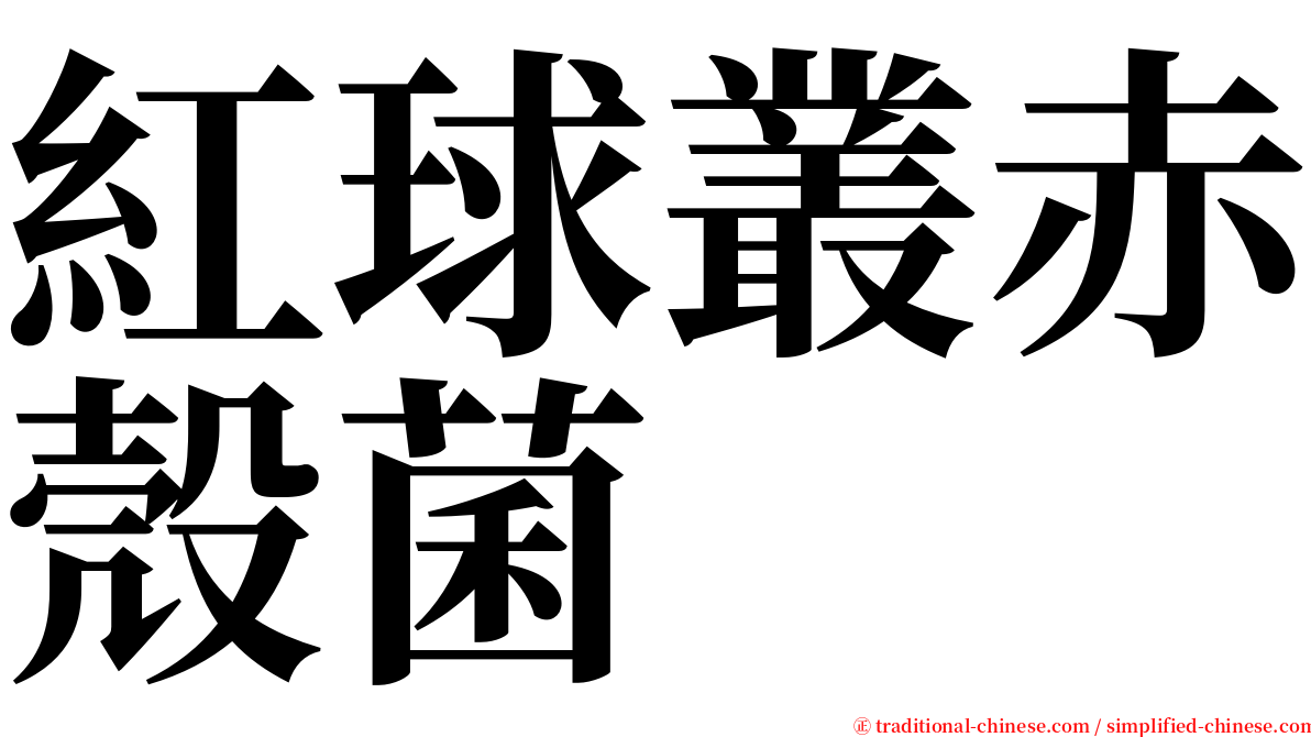 紅球叢赤殼菌 serif font
