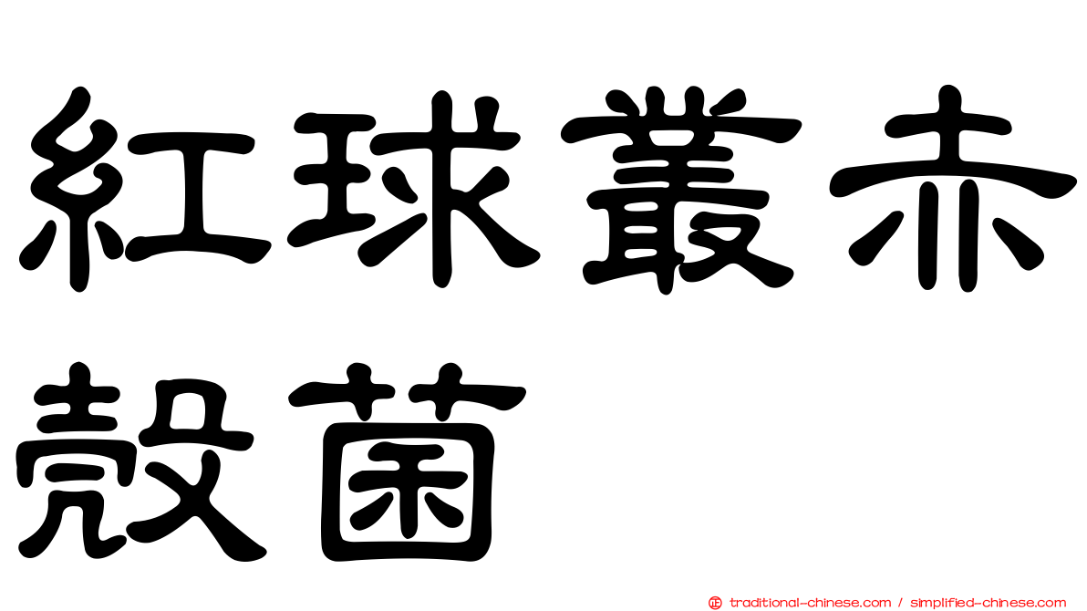 紅球叢赤殼菌