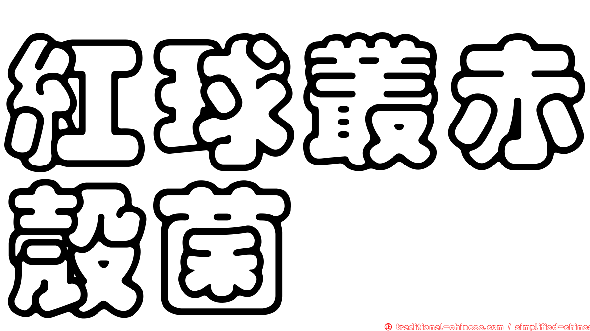 紅球叢赤殼菌