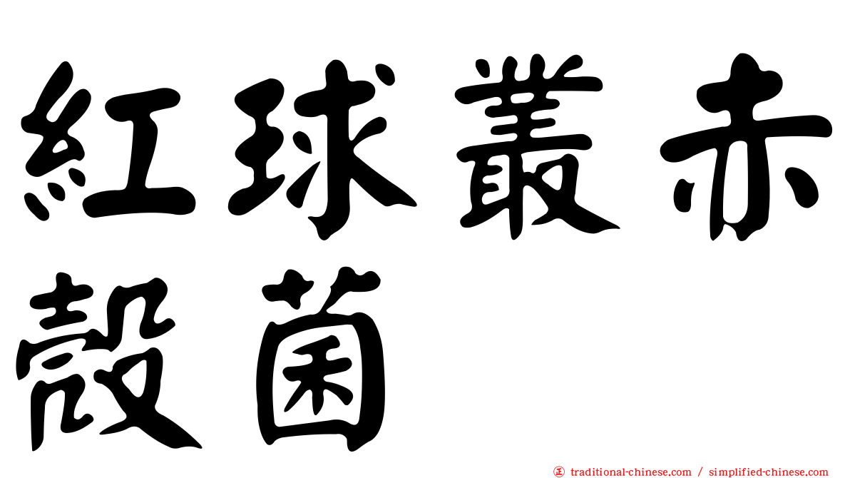 紅球叢赤殼菌