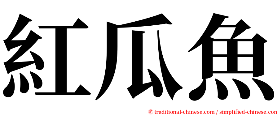 紅瓜魚 serif font