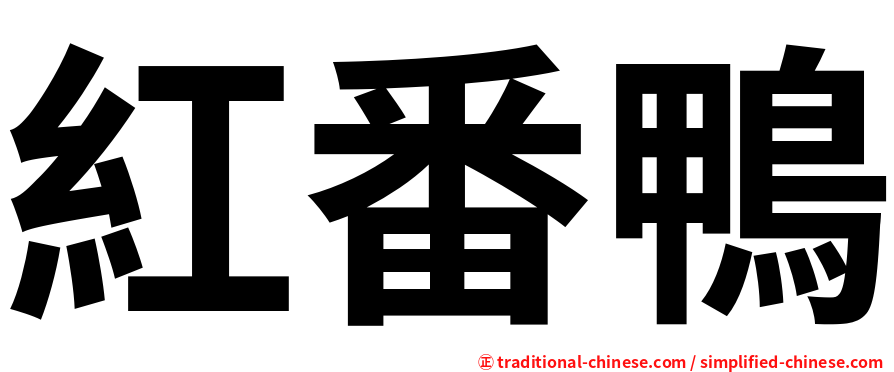 紅番鴨