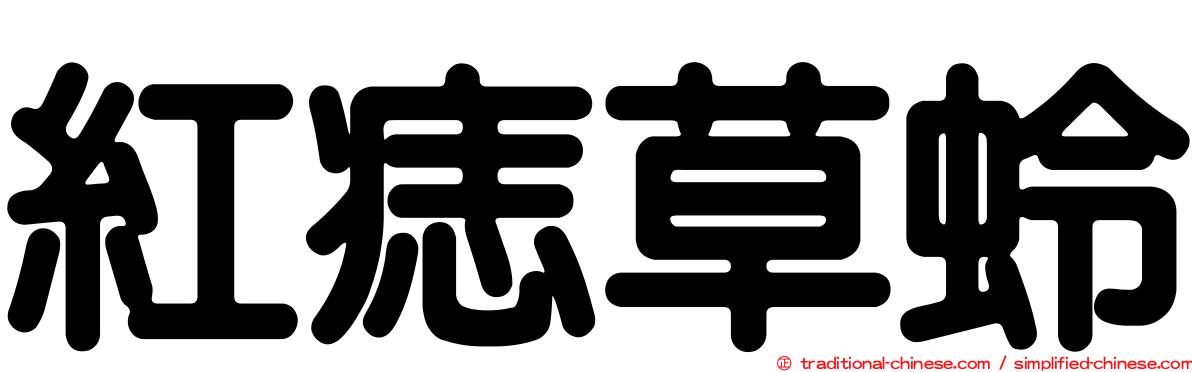 紅痣草蛉