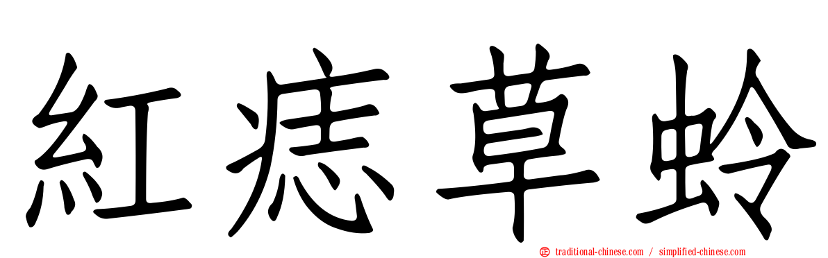 紅痣草蛉