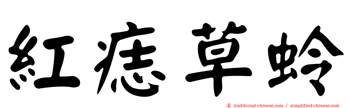 紅痣草蛉