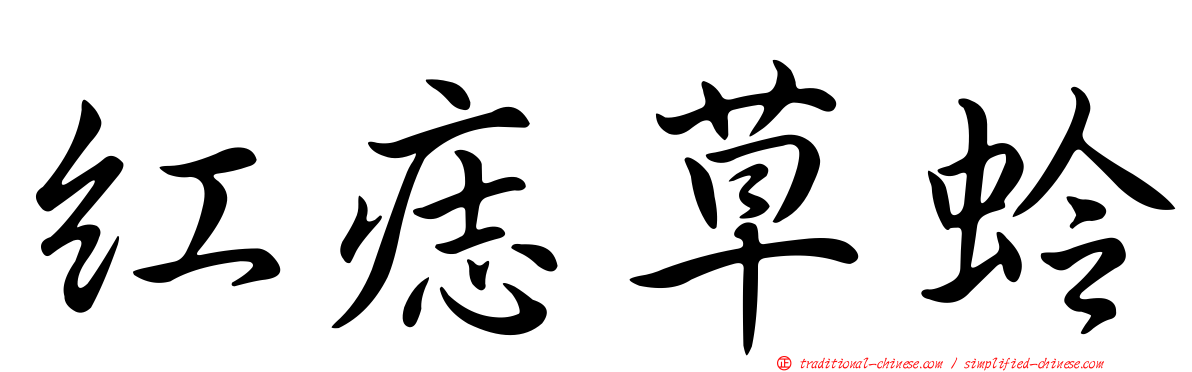 紅痣草蛉