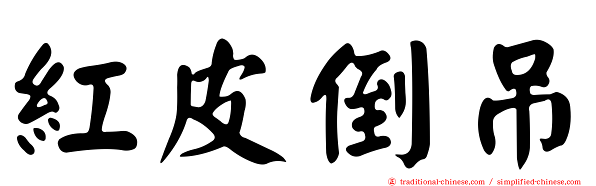 紅皮倒吊