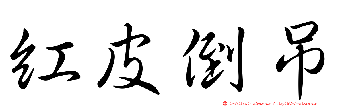 紅皮倒吊