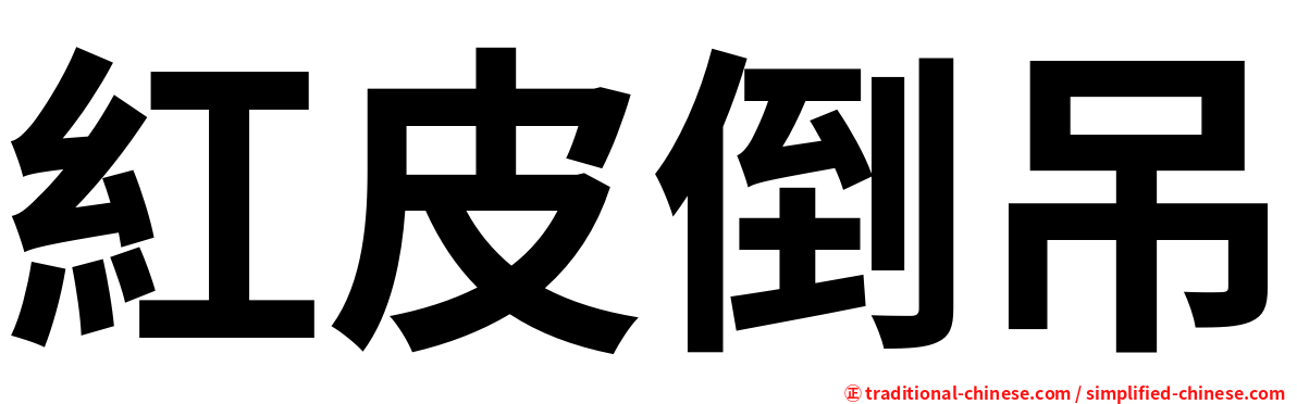 紅皮倒吊