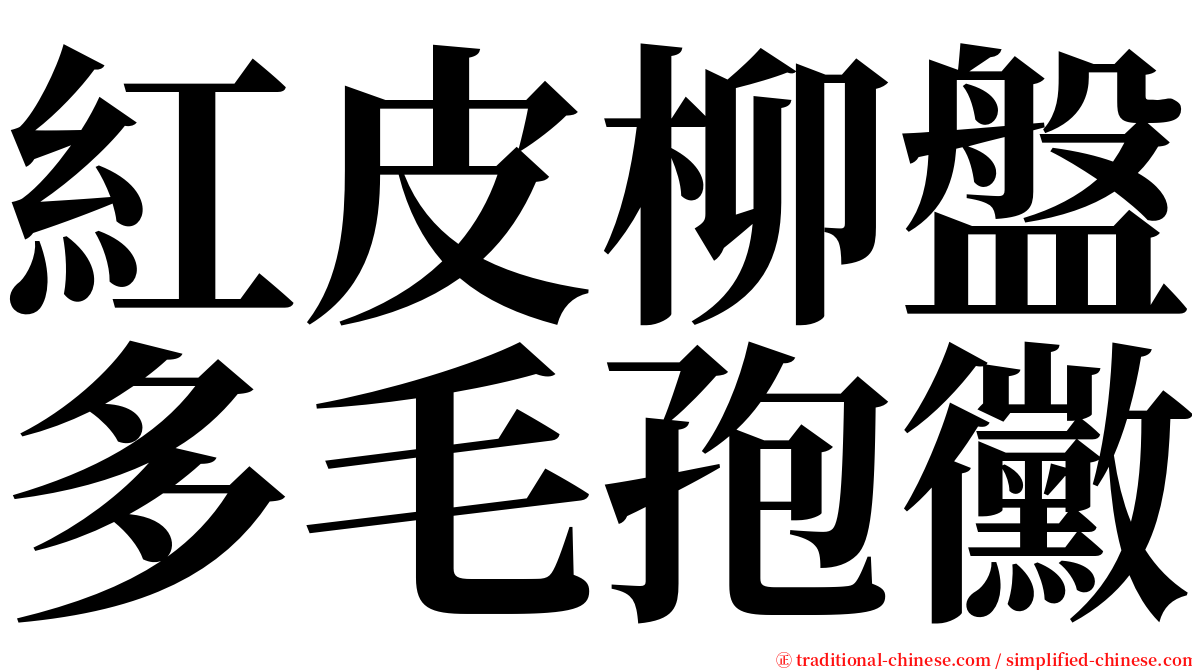 紅皮柳盤多毛孢黴 serif font