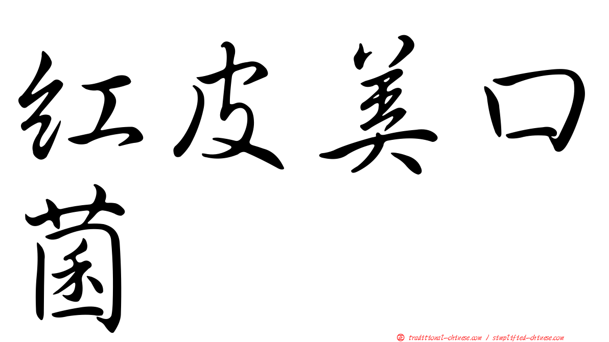 紅皮美口菌