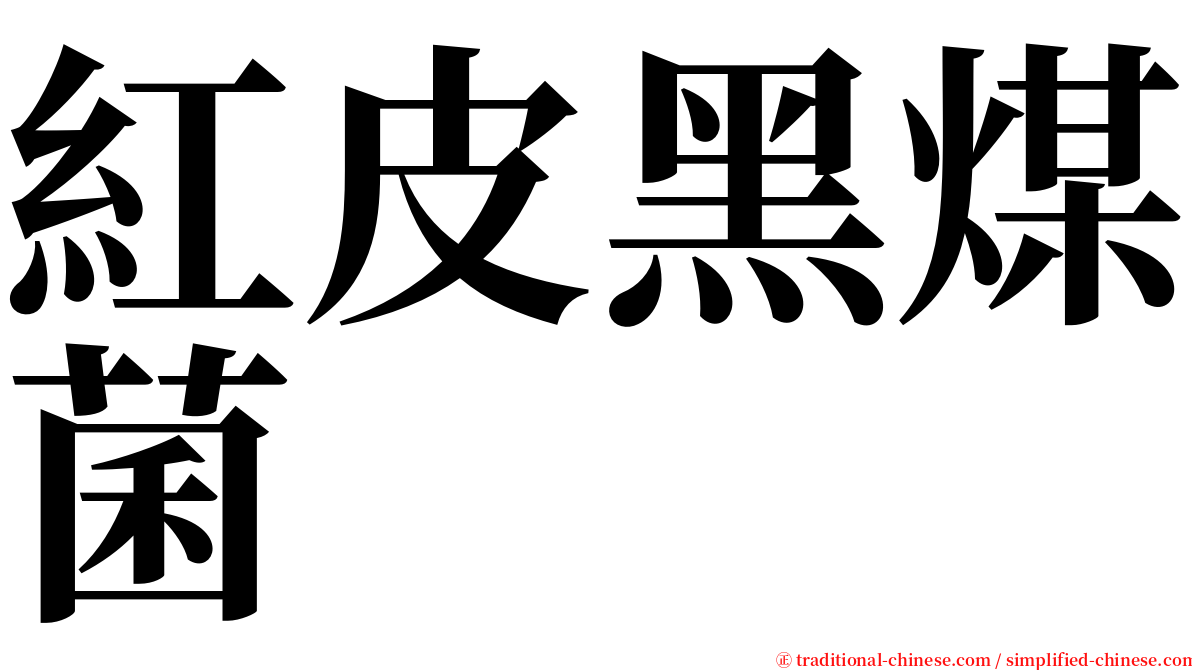 紅皮黑煤菌 serif font