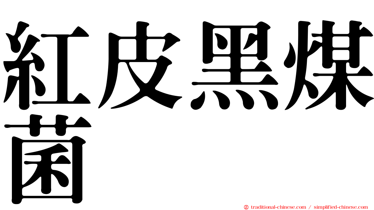 紅皮黑煤菌