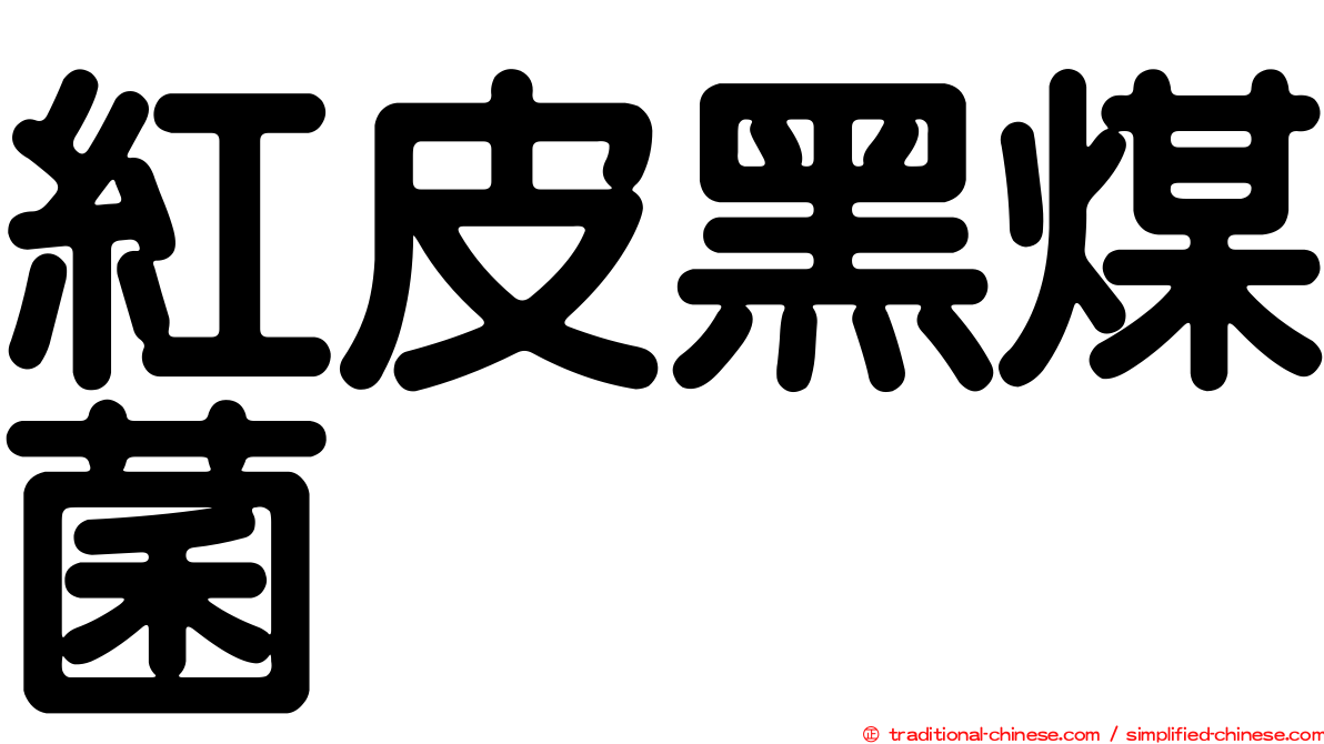 紅皮黑煤菌