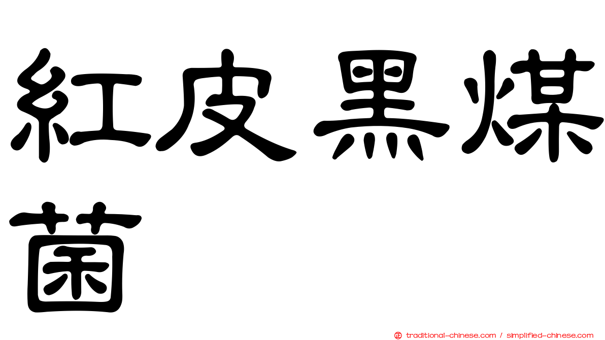 紅皮黑煤菌